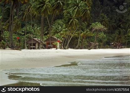 View of a scenic beach on the North shore of Trinidad, Caribbean
