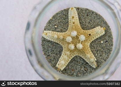 View of a starfish in a glass jar that is used as centreboard