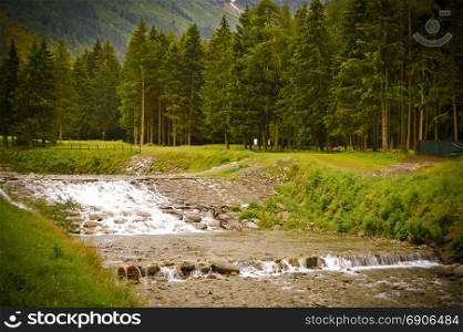 View of a torrent in a park . View of a torrent in a park in the Dolomites in Italy
