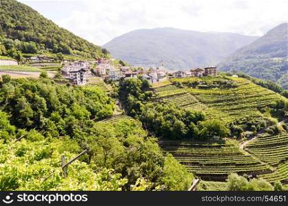 View of a village and vineyards . View of a village and vineyards in South Tyrol on South Tyrol in Italy