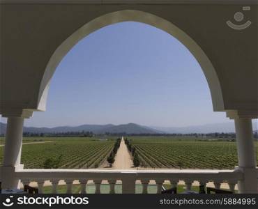 View of a vineyard from a balcony in Casablanca Valley, Chile