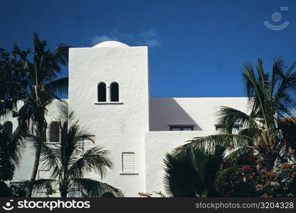 View of a white building amidst a foliage of palm trees, St. Maarten, Caribbean