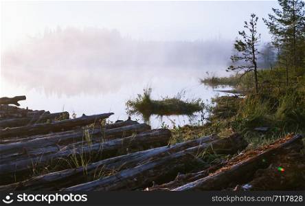 View of an abandoned jetty near a swampy forest lake covered with white morning fog. Northern wild natural landscape. Soft selective focus, space for copy.