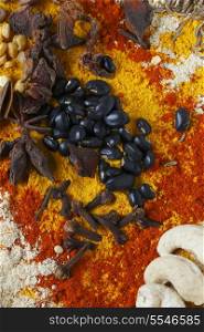 View of an assortment of spices and ingredients used in indian and other asian cuisines.