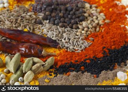 View of an assortment of spices used in indian and other asian cuisines.