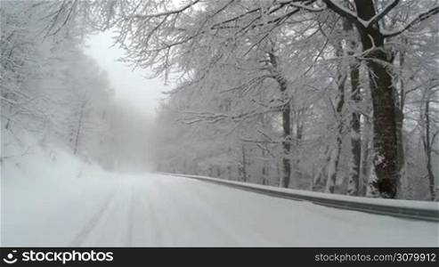 View of an empty snow covered road in the mountains during winter time with trees on the sides.