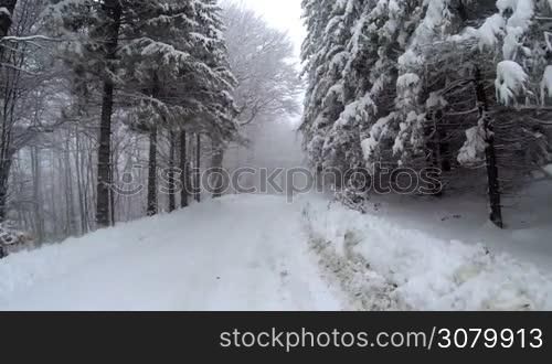 View of an empty snow covered road in the mountains during winter time with trees on the sides.