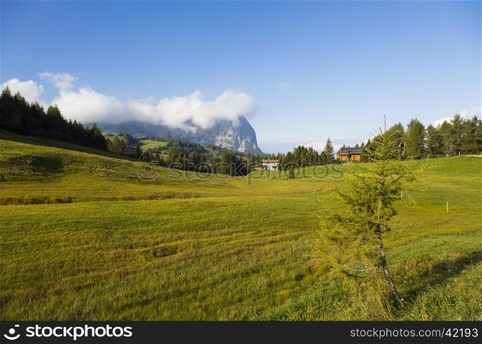 View of an expanse of grass in Seiser Alm