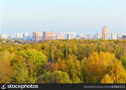 view of autumn trees and city in sunny evening