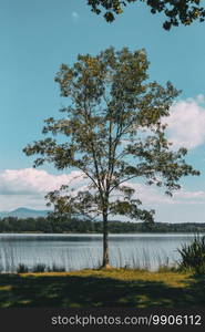 View of Banyoles Lake, in Gerona  Catalonia, Spain  with clear and blue skies on a sunny day