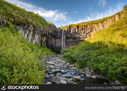 view of beautiful basalt columns waterfall Svartifoss or blackfall in Skaftafell national park, Iceland