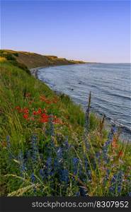 View of beautiful ocean coast with grassy hills and colorful flowers in warm evening light