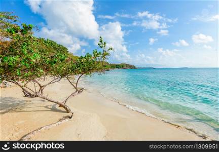 View of beautiful tropical landscape with tree on beach sea island with ocean blue sky background in Thailand summer beach vacation / Sea waves on sand beach water and coast seascape