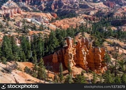 View of Bryce Canyon in Autumn