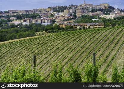 View of Camerano, Ancona province, Marche, Italy and vineyards at springtime