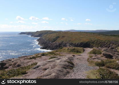 View of cape spear