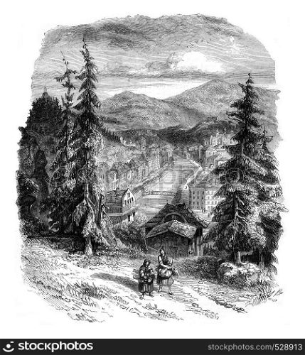 View of Carlsbad and Tele Valley, taken upstream heights of the city, vintage engraved illustration. Magasin Pittoresque 1847.