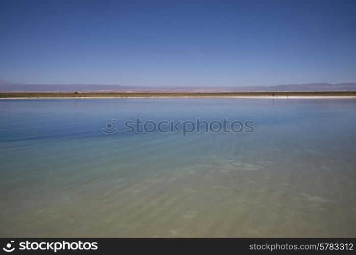 View of Cejar Lagoon, Los Flamencos National Reserve, San Pedro de Atacama, El Loa Province, Antofagasta Region, Chile