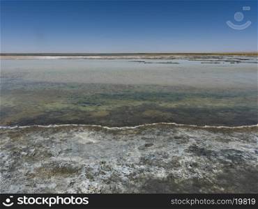 View of Cejar Lagoon, San Pedro de Atacama, El Loa Province, Antofagasta Region, Chile