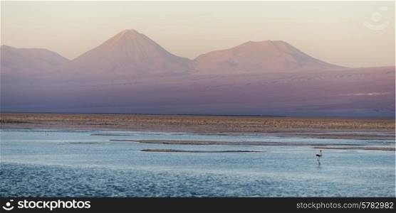 View of Chaxa Lagoon, Los Flamencos National Reserve, San Pedro de Atacama, El Loa Province, Antofagasta Region, Chile