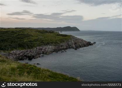 View of coast, Ferryland, Calvert, Avalon Peninsula, Newfoundland And Labrador, Canada