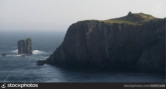 View of coastal cliffs, Skerwink Trail, Port Rexton, Bonavista Peninsula, Newfoundland And Labrador, Canada
