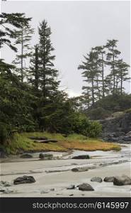 View of coastline, Pettinger Point, Cox Bay, Pacific Rim National Park Reserve, Tofino, British Columbia, Canada