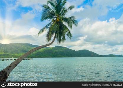 View of coconut trees and the sea on Koh Chang