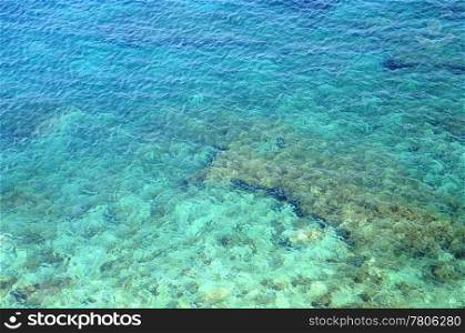 View of coral reef in crystal clear shivering water of the sea
