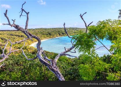 View of Easo beach, Lifou, New Caledonia.