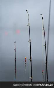 View of fishing rods in a row, Skeena-Queen Charlotte Regional District, Haida Gwaii, Graham Island, British Columbia, Canada