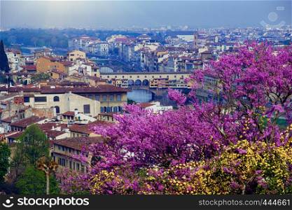 view of Florence and bridge Ponte Vecchio from the viewpoint. province of Siena. Tuscany, Italy
