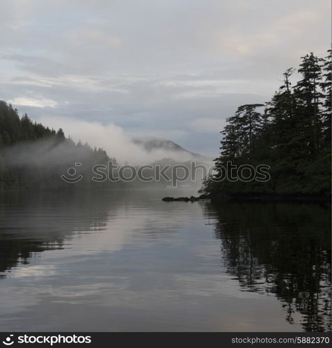 View of foggy coast, Skeena-Queen Charlotte Regional District, Haida Gwaii, Graham Island, British Columbia, Canada