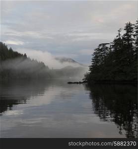 View of foggy coast, Skeena-Queen Charlotte Regional District, Haida Gwaii, Graham Island, British Columbia, Canada