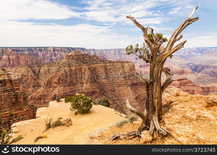 View of Grand Canyon from South Rim with sunset light