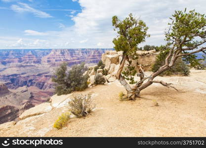 View of Grand Canyon from South Rim with sunset light