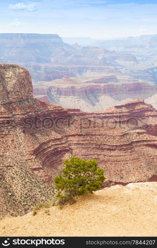 View of Grand Canyon from South Rim with sunset light