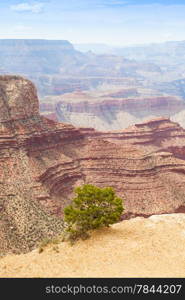 View of Grand Canyon from South Rim with sunset light