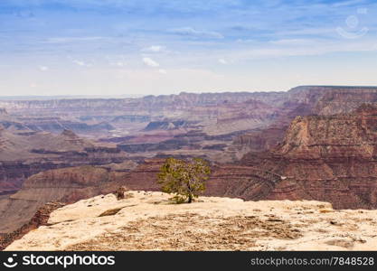 View of Grand Canyon from South Rim with sunset light