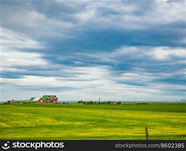 View of green field with yellow flowers and a house on seaside in Iceland