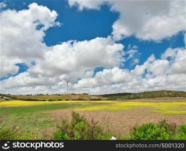 view of green rural area under clouds sky. Spain, Andalusia