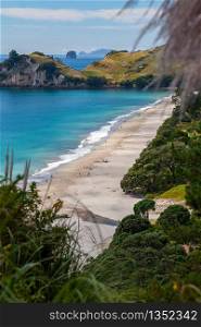 View of Hahei beach in New Zealand