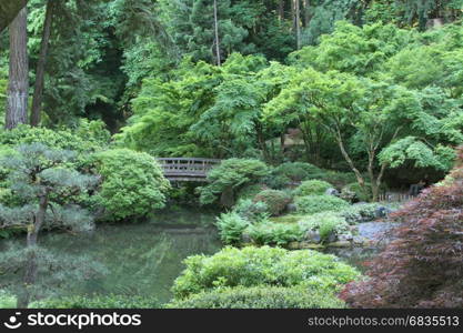 View of Japanese gardens in Portland