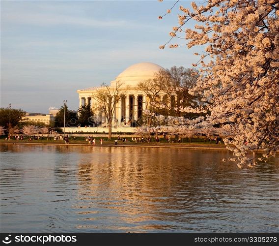 View of Jefferson Memorial framed by cherry blossoms in Washington DC at sunset