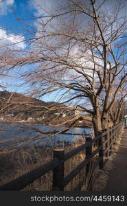 View of kawaguchiko lake, Japan.