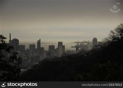 View of Kobe on a dark evening. View of Kobe from a surrounding mountain with trees and houses on a dark evening