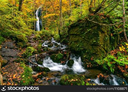 View of Komoi no Tagi waterfall in autumn season at Oirase Gorge with the colorful foliage forest and the green mossy rocks covered with the falling leaves in Towada Hachimantai National Park, Aomori Prefecture, Japan.