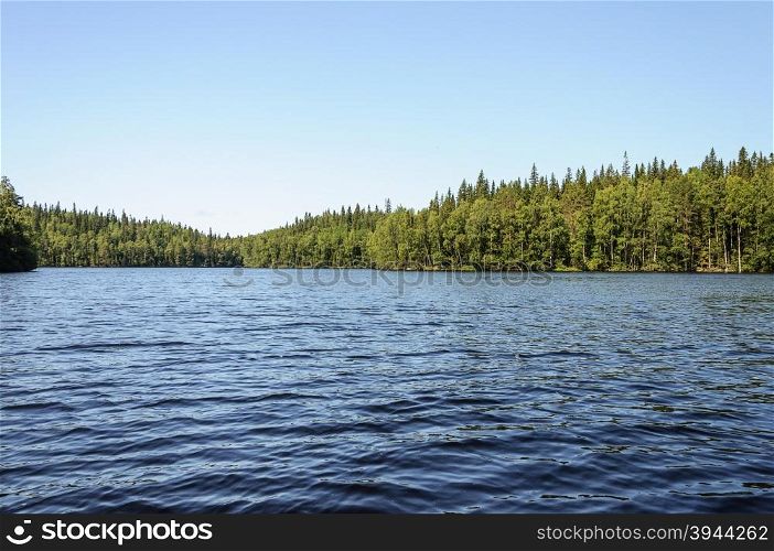 View of lake in forest on Big Solovetsky Island, summer time
