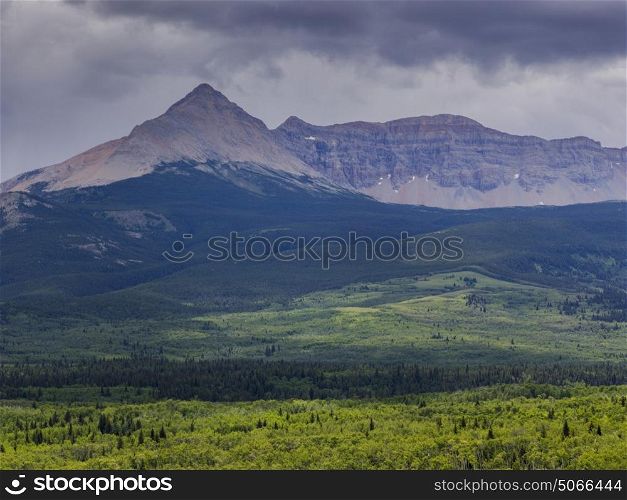 View of landscape with mountain range in the background, Glacier National Park, Glacier County, Montana, USA