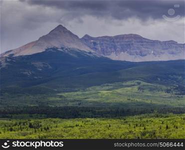 View of landscape with mountain range in the background, Glacier National Park, Glacier County, Montana, USA